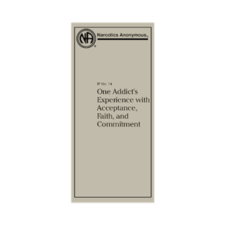#14 One Addict’s Experience (PKG of 10)