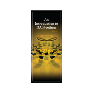 #29 An Introduction To NA Meetings (PKG of 10)